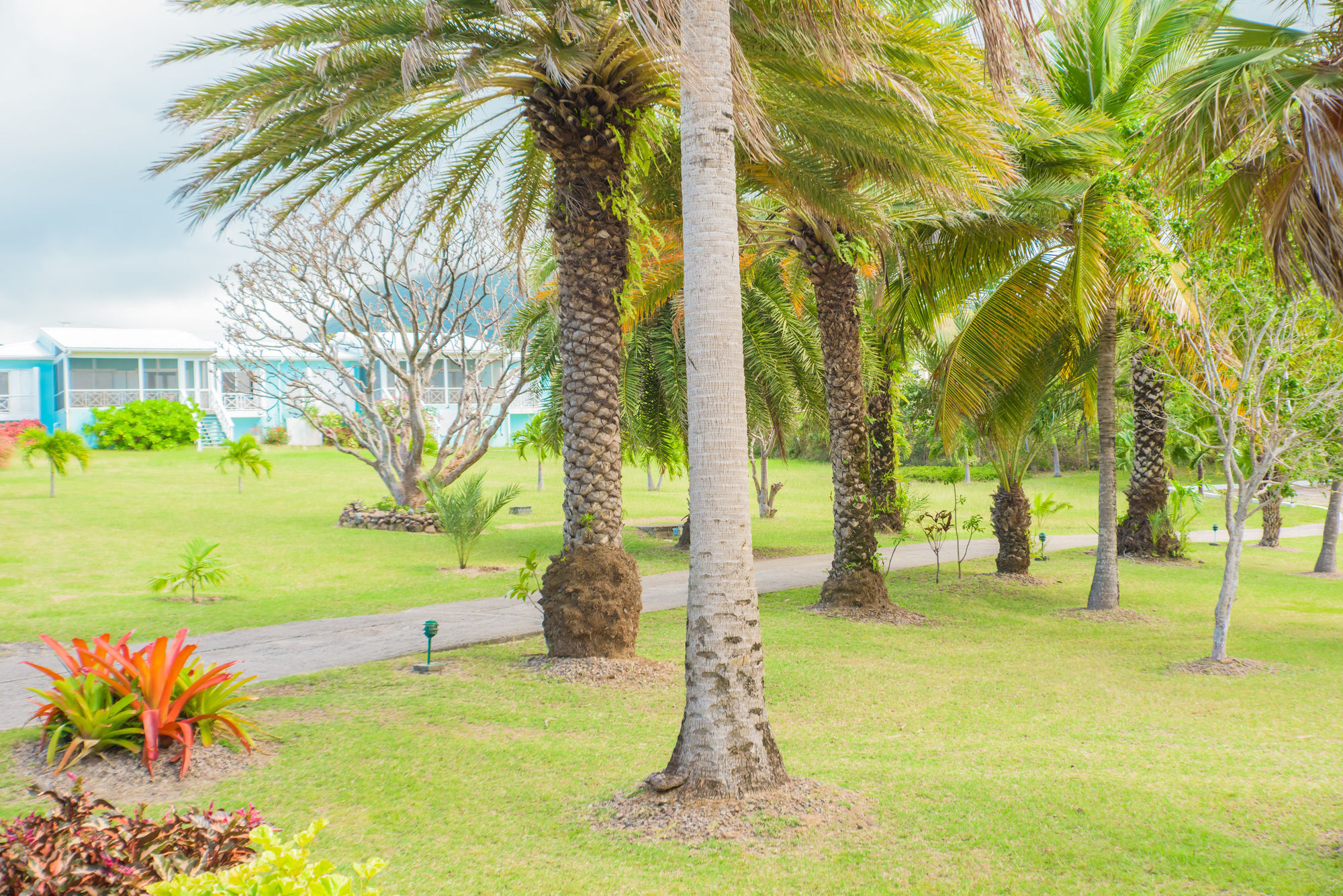 Mount Nevis Hotel Newcastle Village Exterior photo