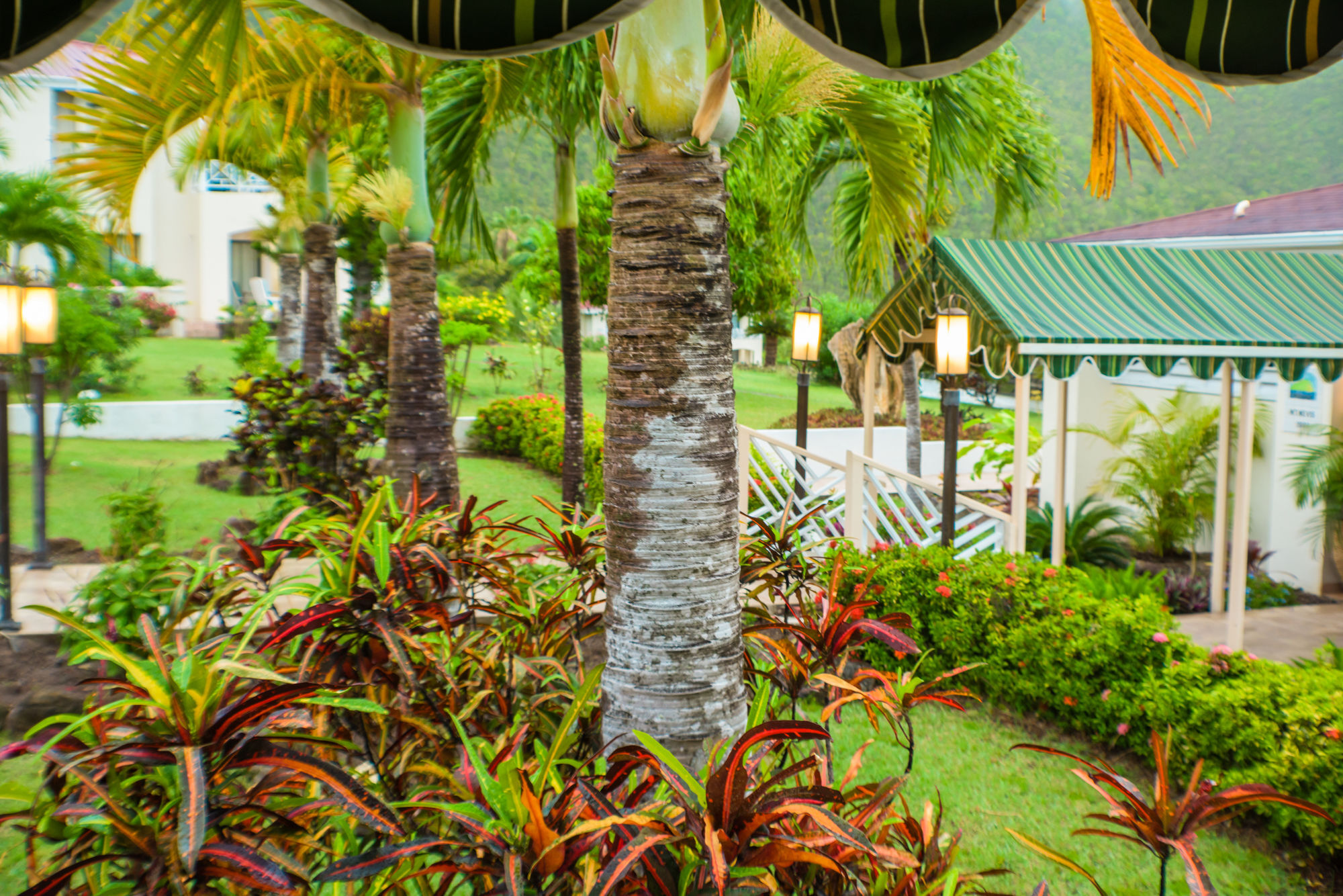 Mount Nevis Hotel Newcastle Village Exterior photo